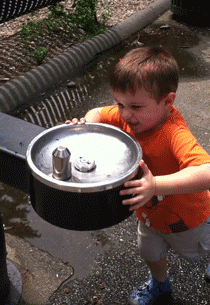 Funny Water GIF by America's Funniest Home Videos - Find & Share on GIPHY