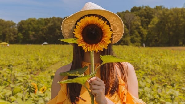 Selfie Sonnenblumenfeld