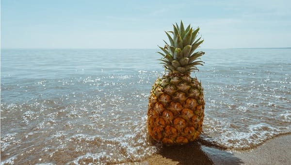 Sommer 2018