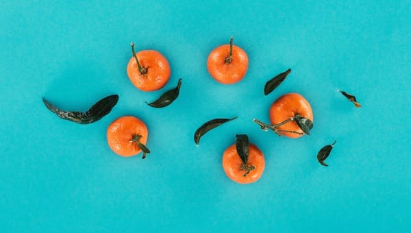 Unterschied Mandarine Clementine