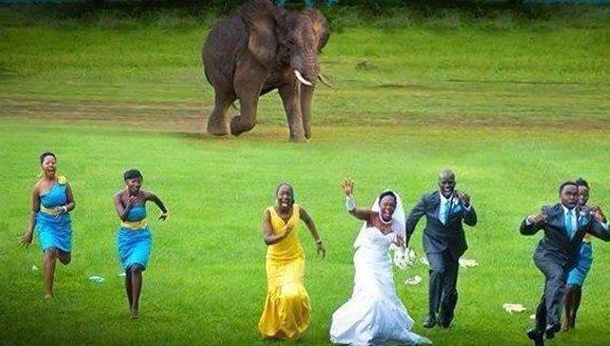 Wedding-Fail: Diese 9 Hochzeitsbilder sind so falsch