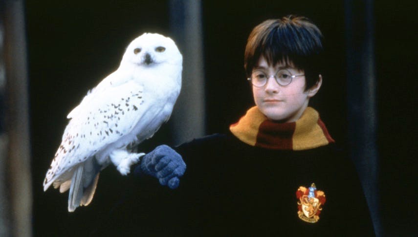 Du besitzt ein ganz besonderes Harry Potter-Buch? Dann könntest du bald um 34.000 Euro reicher sein