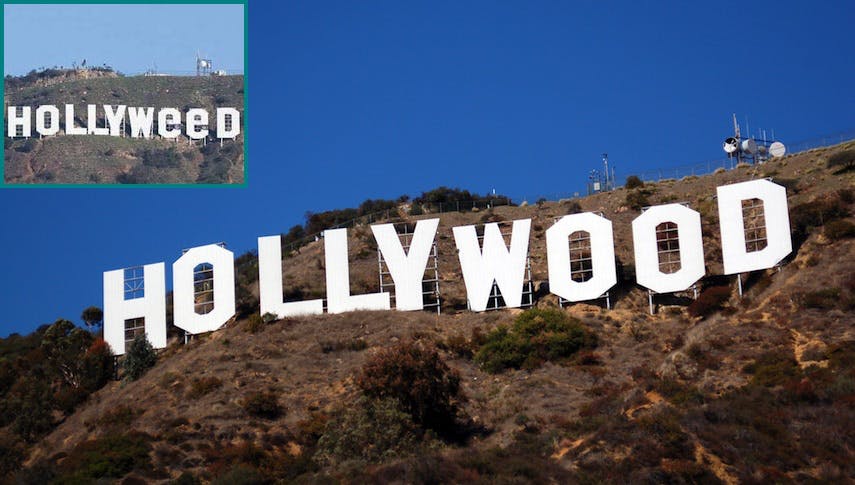 Wie aus Hollywood über Nacht Hollyweed wurde