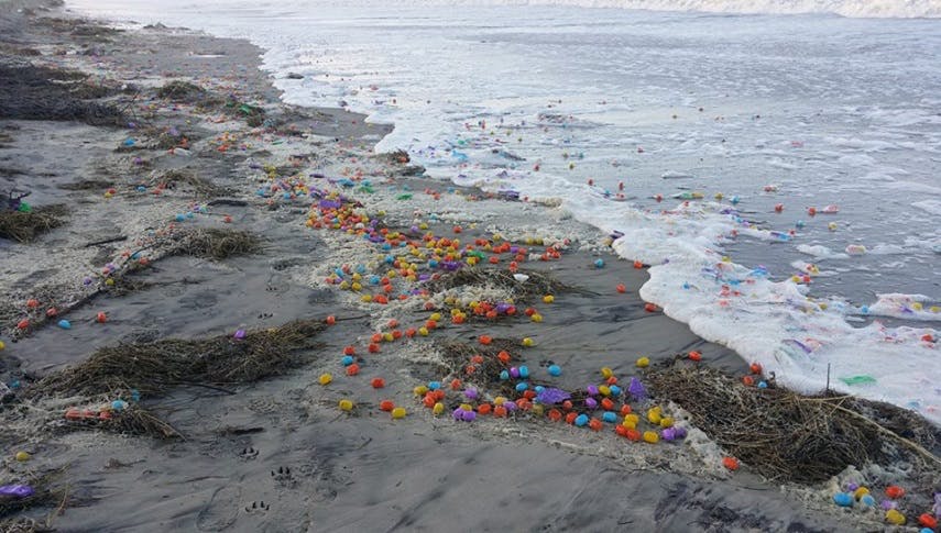 Ü‑Eier angeschwemmt: Frühe Ostern auf Langeoog!