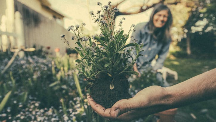 Mein Gartentor zur Welt: Warum der Garten den Deutschen so wichtig ist