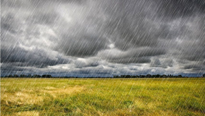 17 Sätze, die du im Sommer 2017 garantiert nicht gehört hast!