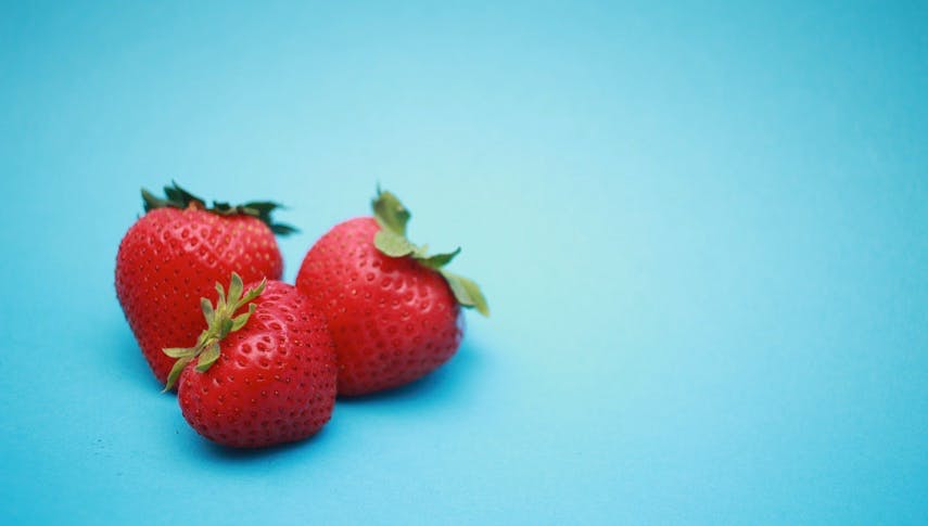 10 Gründe, warum wir SOFORT Frühling brauchen!