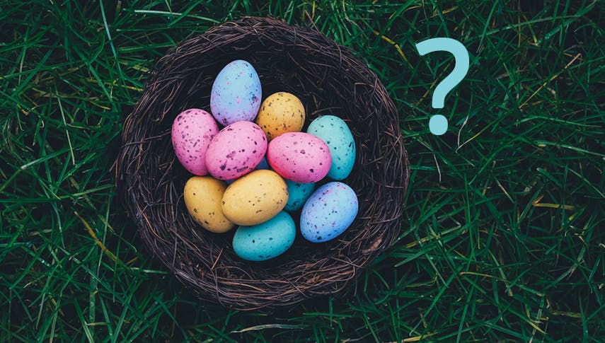 5 Gründe, warum Osterhasen Bio-Eier kaufen würden