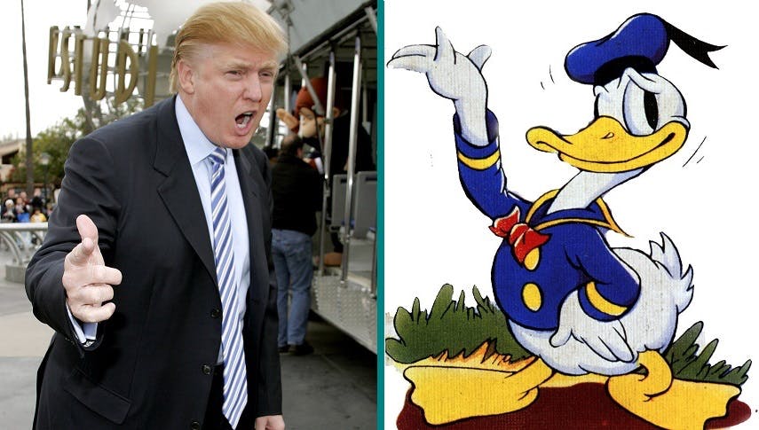 Der ultimative Donald-Vergleich: Einen der beiden liebt jeder … [Satire]
