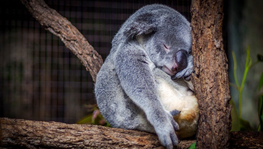 Gute Nacht: Ausschlafen am Wochenende ist gesund!