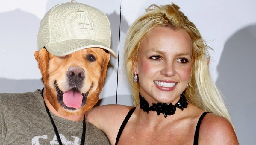 Wie ein Hund Britney Spears Konkurrenz macht