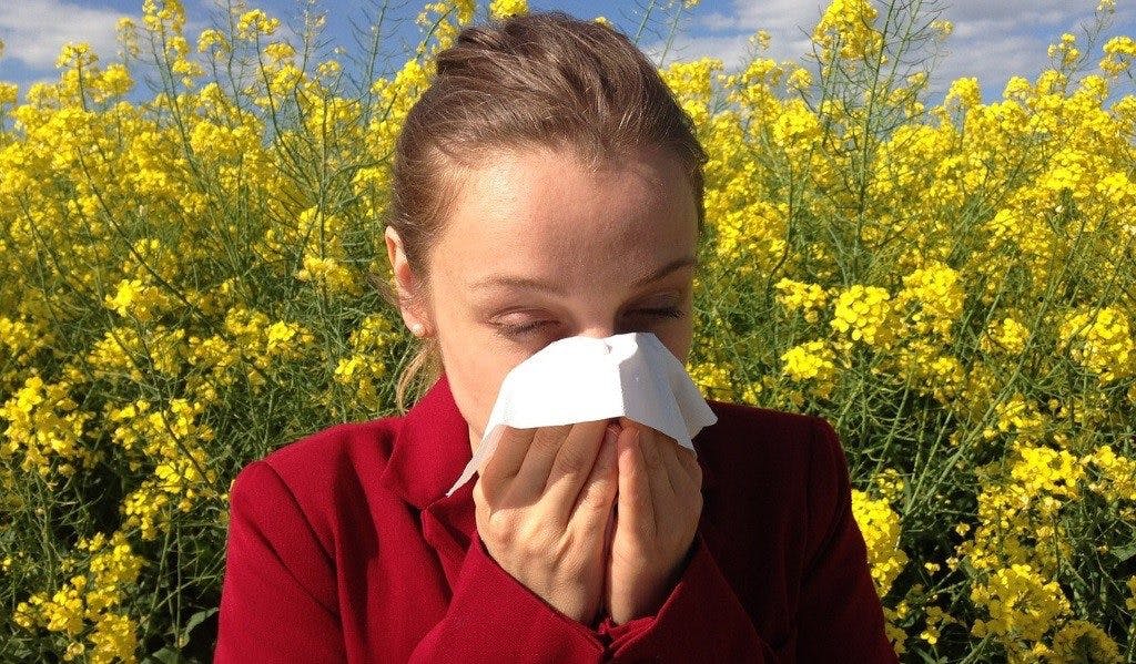 Heuschnupfen: Darum läuft im Frühling deine Nase