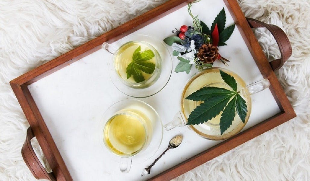 Gebt das Hanf frei: CBD-Öl ist der ultimative Health- und Beauty-Trend