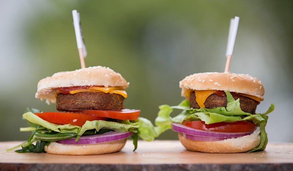 Da ist der Wurm drin! Start-Up tischt Insekten-Burger auf