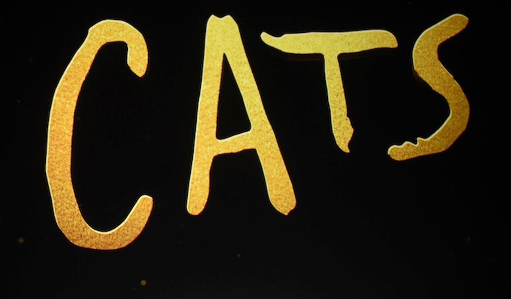 Katzenjammer: So miaut das Netz über den Cats-Trailer