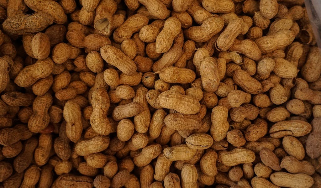 Alltagsfragen: Wachsen Erdnüsse wirklich in der Erde?