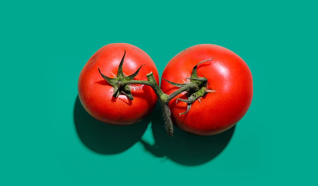 Alltagsfragen: Warum sollten Tomaten niemals im Kühlschrank gelagert werden?
