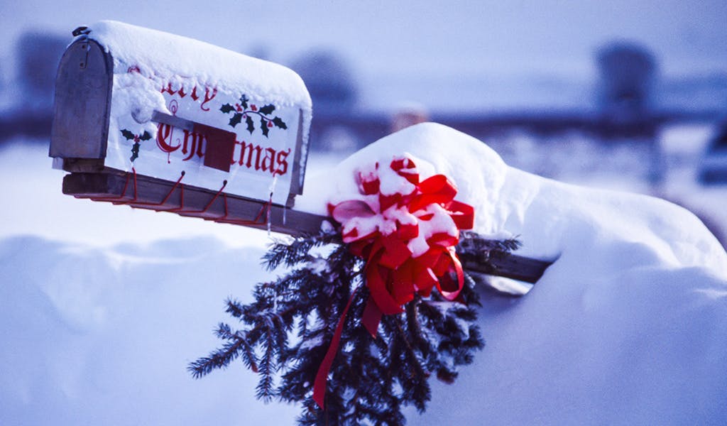 Weiße Weihnachten 2020 garantiert: Hochzeitspaar heißt jetzt White-Christmas